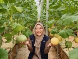Surga Hidroponik di Tengah Hutan Kalimantan Timur