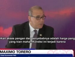 Chief FAO Sebut Dunia Hadapi Masalah Akses dan Ketersediaan  Pangan