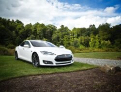Tesla Unveils Affordable Electric Car Model, Promising Mass Adoption