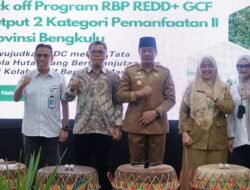 Mitigasi Perubahan Iklim di Bengkulu: Kolaborasi untuk Reboisasi dan Pengelolaan Hutan Berkelanjutan