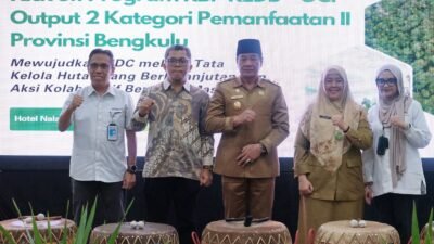 Mitigasi Perubahan Iklim di Bengkulu: Kolaborasi untuk Reboisasi dan Pengelolaan Hutan Berkelanjutan