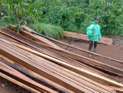 Tim KPHL Bengkulu Ungkap Puluhan Kubik Kayu Ilegal di Hutan Lindung Bukit Daun