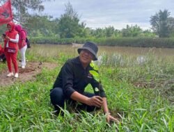 PDI Perjuangan Bengkulu Tanam 10 Ribu Pohon dalam Peringatan HUT ke-78 Megawati