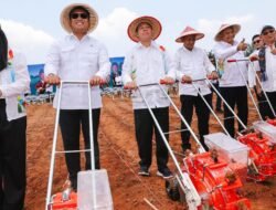 Jagung Bengkulu 8,83 Ton per Hektare, Ungguli Capaian Nasional