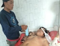 Diseruduk dan Digigit Babi Hutan, Petani di Curup Utara Dilarikan ke Rumah Sakit 