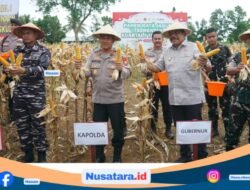 Polri dan Pemprov Bengkulu Gelar Panen Jagung Serentak Dukung Ketahanan Pangan