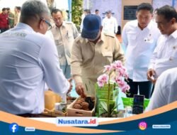 Presiden Prabowo Subianto Melihat Langsung Produk Gambir Asli Dari Pakpak Bharat