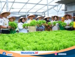 Panen Raya Serentak di Lapas Kelas I Bandar Lampung, Pemasyarakatan Perkuat Ketahanan Pangan Nasional