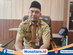Dari Honor Receh ke Pengakuan Negara