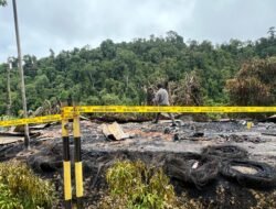 Dua Korban Tewas dalam Penyerangan di Pos Pengamanan PT Kristal Nabire, Satgas Ops Damai Cartenz Lakukan Penyelidikan Mendalam