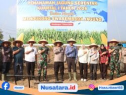 Forkopimda Simalungun Tanam Jagung Serentak Dukung Swasembada Pangan