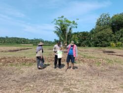 Polres Bengkulu Selatan Gelar Kegiatan Tanam Jagung dalam Rangka Mendukung Ketahanan Pangan Nasional