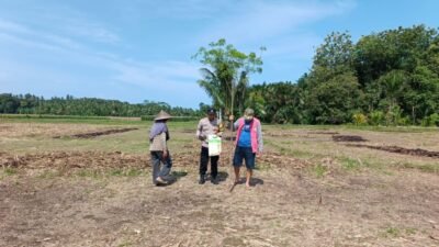 Polres Bengkulu Selatan Gelar Kegiatan Tanam Jagung dalam Rangka Mendukung Ketahanan Pangan Nasional
