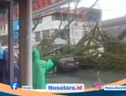 Hujan Deras, Pohon Tumbang Timpa Mobil di Pasar Atas Curup