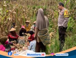 Dana Ketahanan Pangan Rp105 Juta Dipertanyakan, BUMDes: Realisasi Tak Jelas