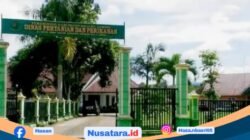 Pelet Ikan Diduga Di-markup, 400 Induk Nila Hilang