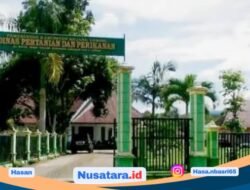 Pelet Ikan Diduga Di-markup, 400 Induk Nila Hilang