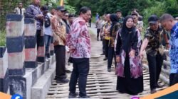 Wagub Mian Gerak Cepat Tinjau Jembatan Amblas di Air Merah