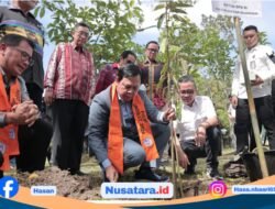 DPD RI Soroti Pembatasan Wisata Komodo, Dinilai Ganggu Pemulihan Ekonomi