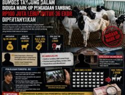 BUMDes Tanjung Dalam Diduga Mark-Up Pengadaan Kambing, Rp100 Juta Lebih untuk 36 Ekor Dipertanyakan