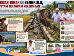 Irigasi Rusak, Petani di Dusun Besar Terancam Kekeringan