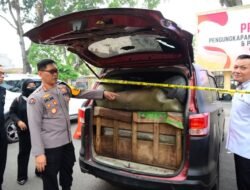 Polda Jambi Gelar Konferensi Pers, Ungkap Penertiban 22.800 Liter Minyak dan BBM